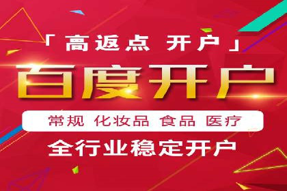 探索SEM竞价员的核心工作与案例分析